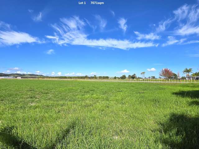 142A and B Awakino Point North Road Dargaville_1