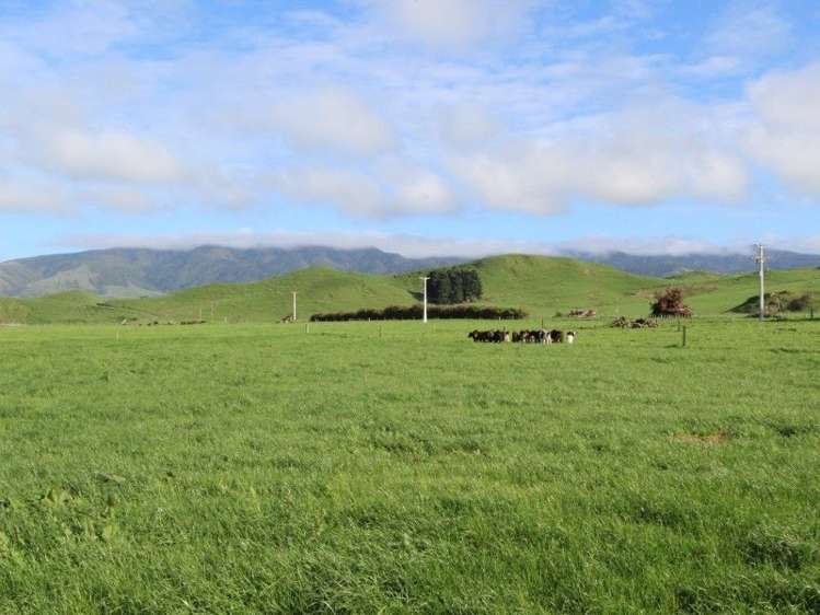 25 Knight Road Woodville_6