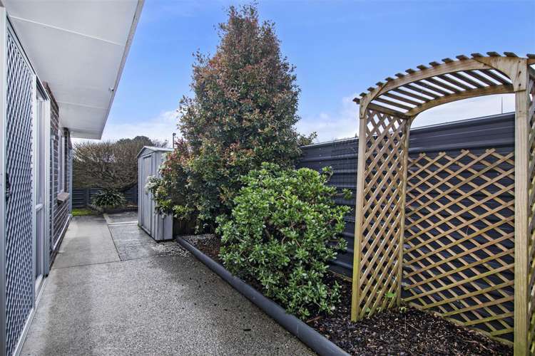 12a Simons Street Kensington_13