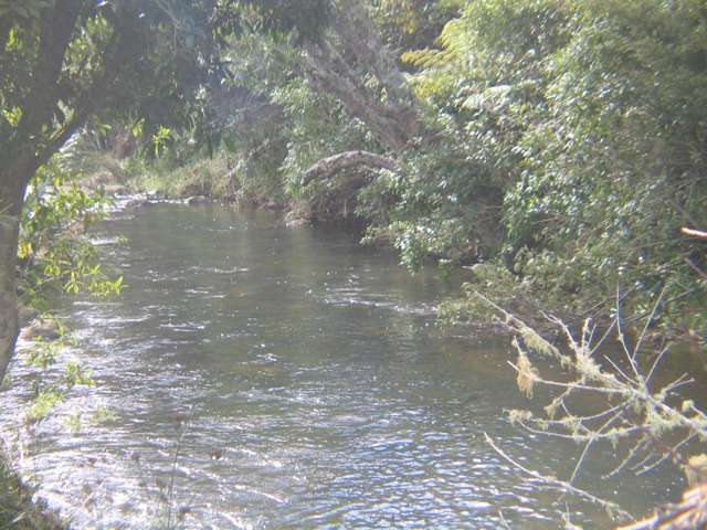 12 Alderton Drive Kerikeri_2