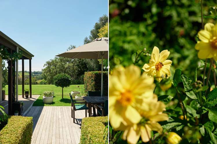 14 River Oaks Drive Tauriko_9