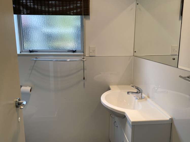 51 Hollister Lane Ohauiti_14