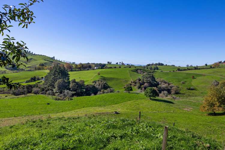 3/957 Taotaoroa Road Cambridge_27