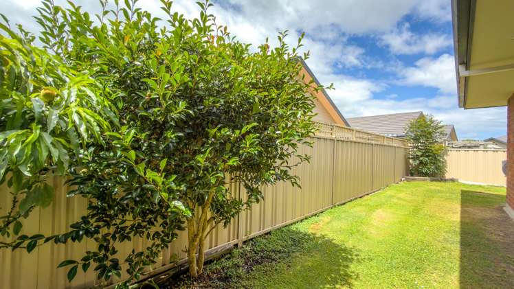 90B Richmond Street Thames_22