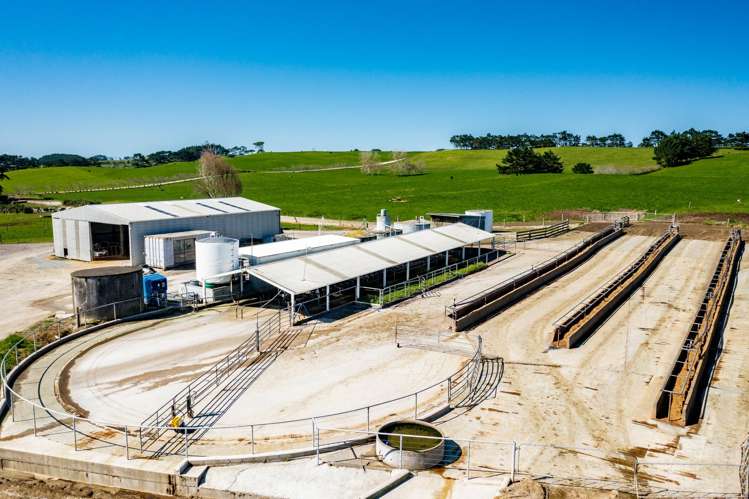 455 West Coast Road Te Kopuru_16