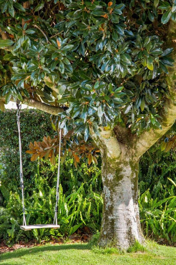 11 Puriri Avenue Te Puke_24