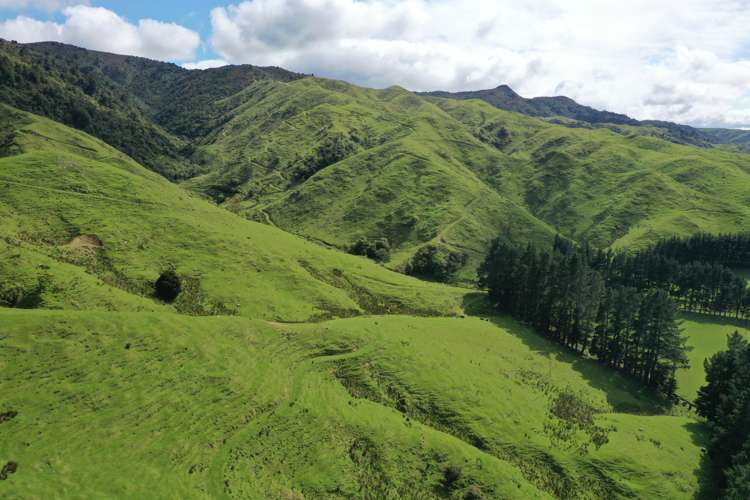 1091 Kopikopiko Road Eketahuna_23