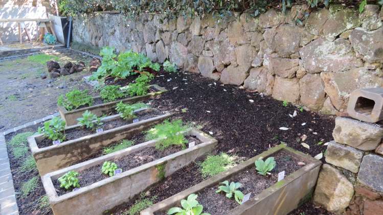 8a Buchanan Street Devonport_14