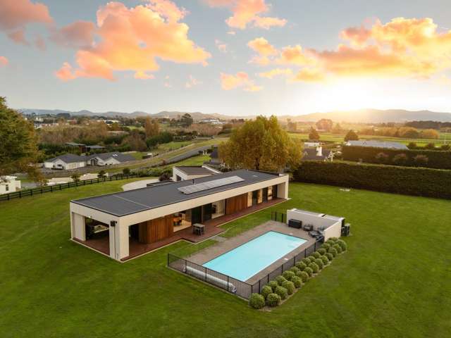 Design Meets Distinction