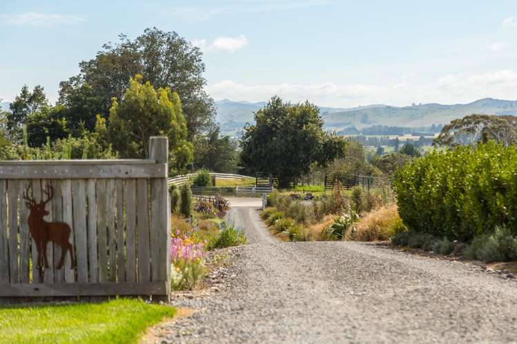 67A Lees Pakaraka Road Masterton_16