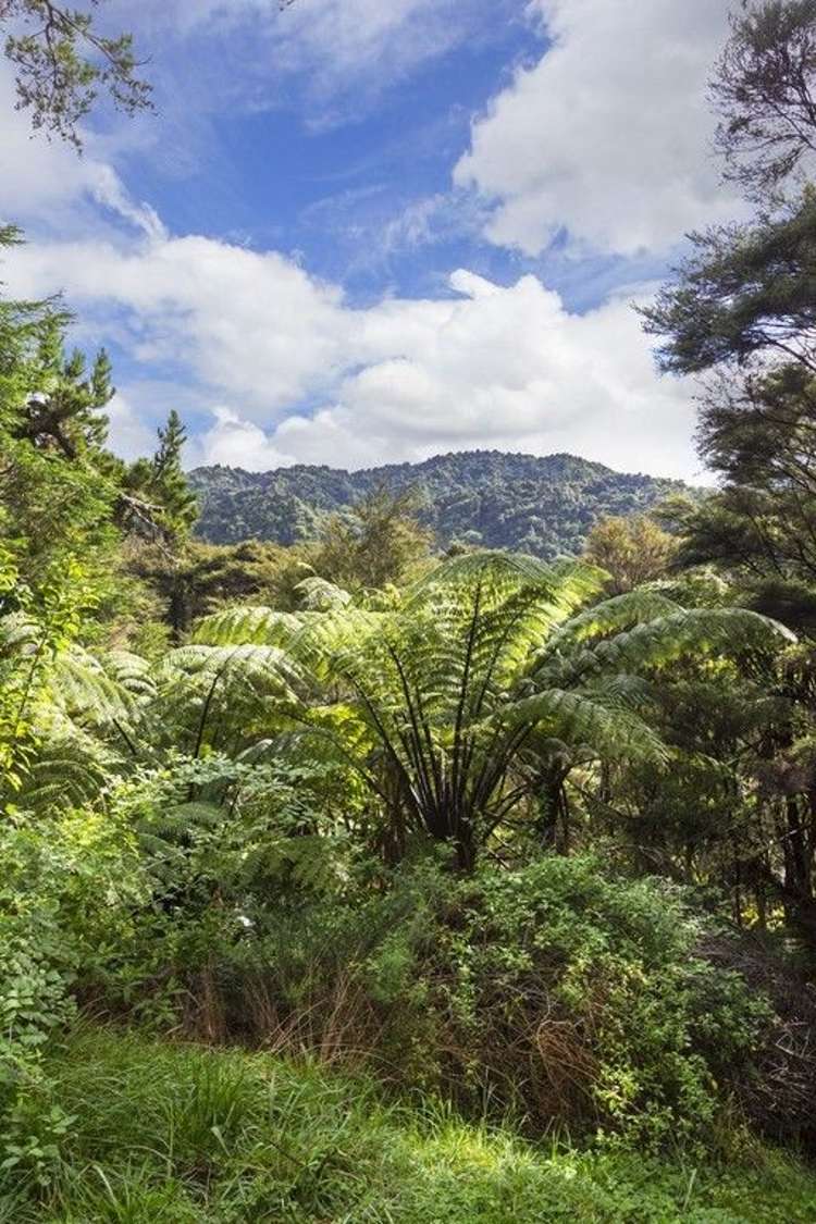 584 Matakana Valley Road Matakana_7