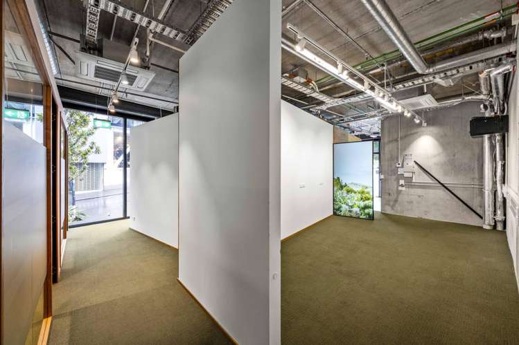 5 Crummer Road Grey Lynn_9
