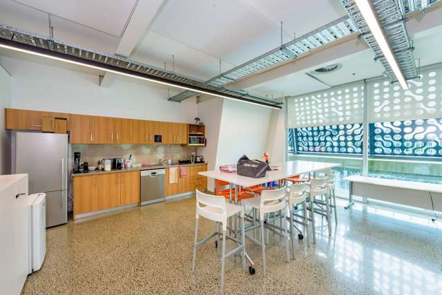 3 Vernon Street Freemans Bay_4