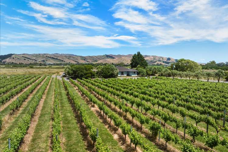 686 Dillons Point Road Blenheim_18