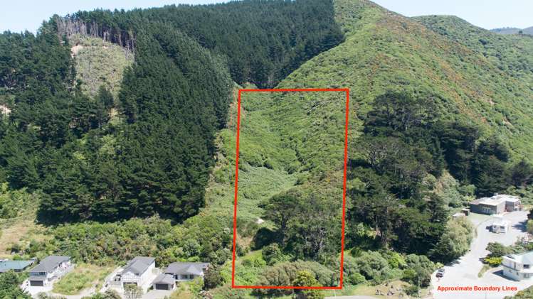 291 Happy Valley Road Owhiro Bay_1