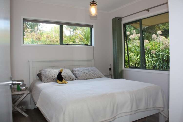 6b Primrose Street Raglan_12