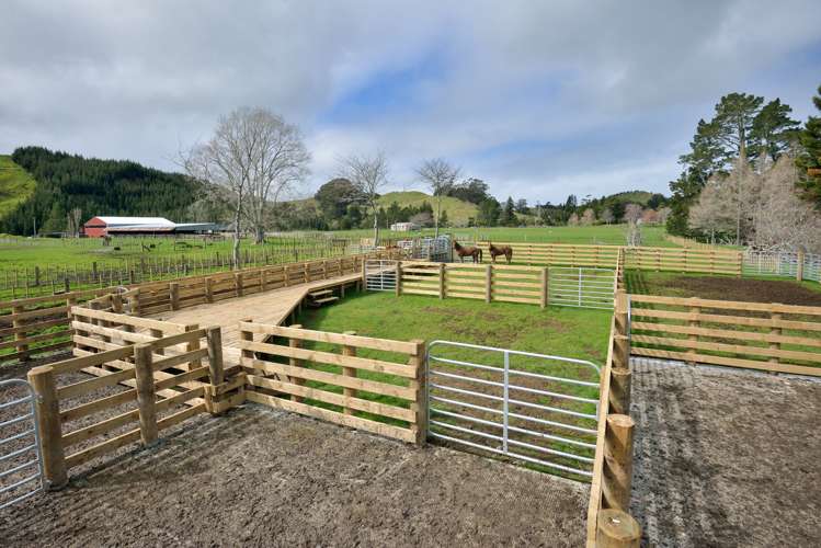 783 Glenroy Road Whangara_6