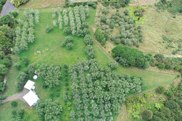 3699 Highway 22 Whangape_22