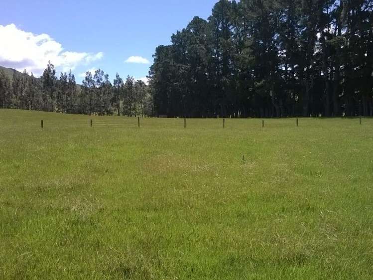 1092 The Peaks Road Hawarden_21