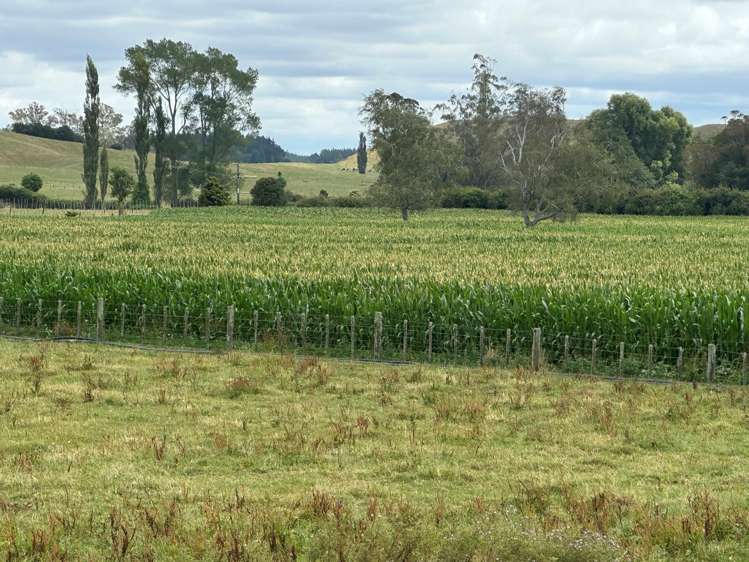 301 Matarawa Road Kinleith_19