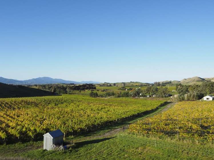 149 Wrekin Road Fairhall_15