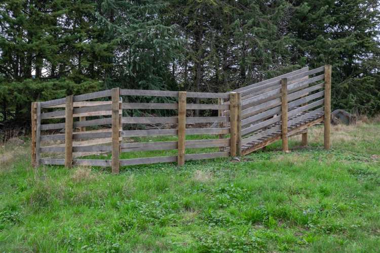 280 Tyntesfield Road Waihopai Valley_5