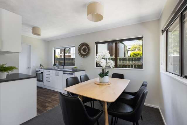 27b Elliott Street Johnsonville_4