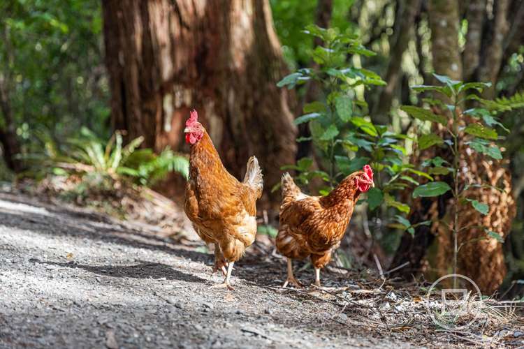 Rutherglen Road Marsden_5