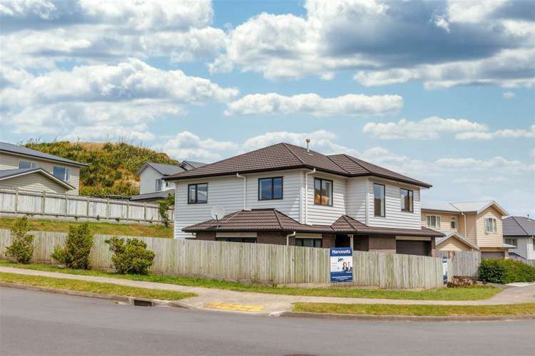 100 Amesbury Drive Churton Park_18