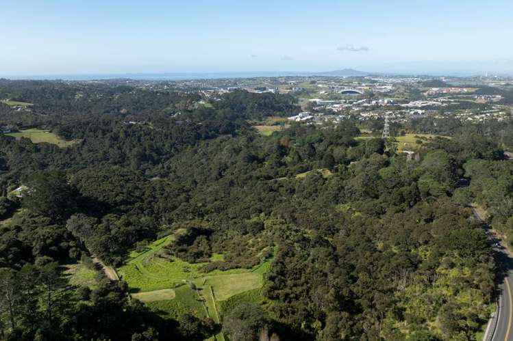 420 Dairy Flat Highway Albany Heights_4