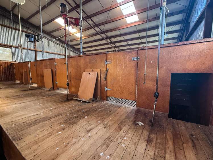 125B Davidson Road Mimihau_13