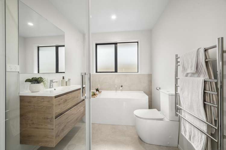 Lot 343 Puna Rua_8