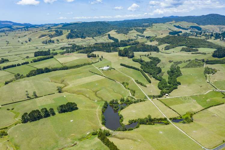 800 Waitawheta Road Waihi_7