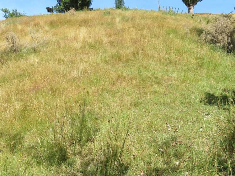 45 Esplanade Te Kuiti_17