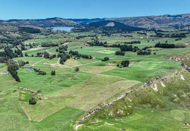 229 hectare dairy with herd on Halter