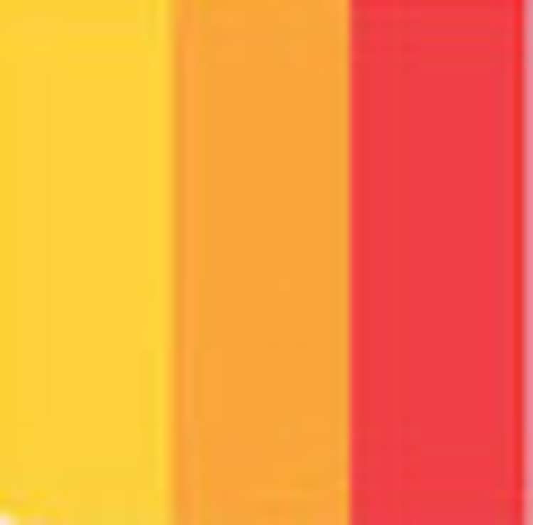 29 Mandeno Street Te Awamutu_0