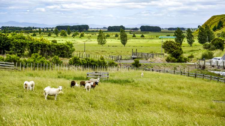 683 Back Miranda Road Miranda_17