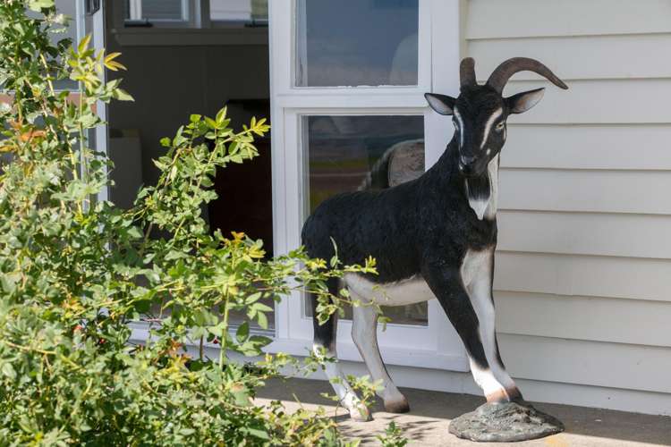 24 Esplanade Road, Ongare Point Katikati_23