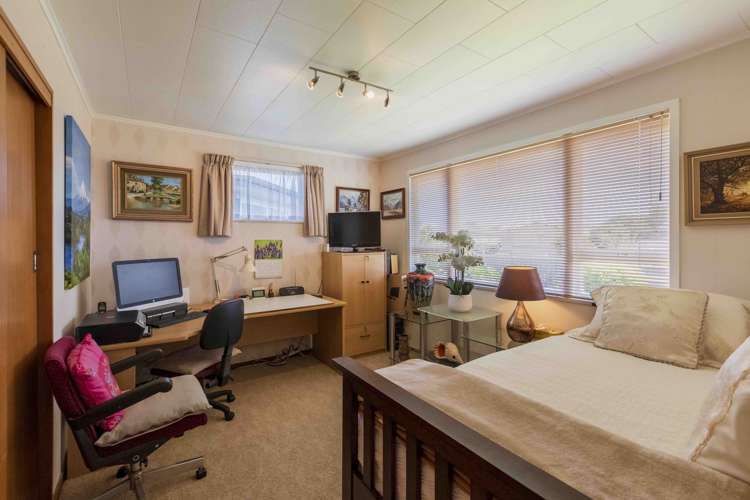 24 Plunket Street Tamatea_5