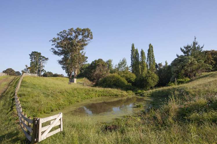 1516B Gordonton Road Taupiri_6