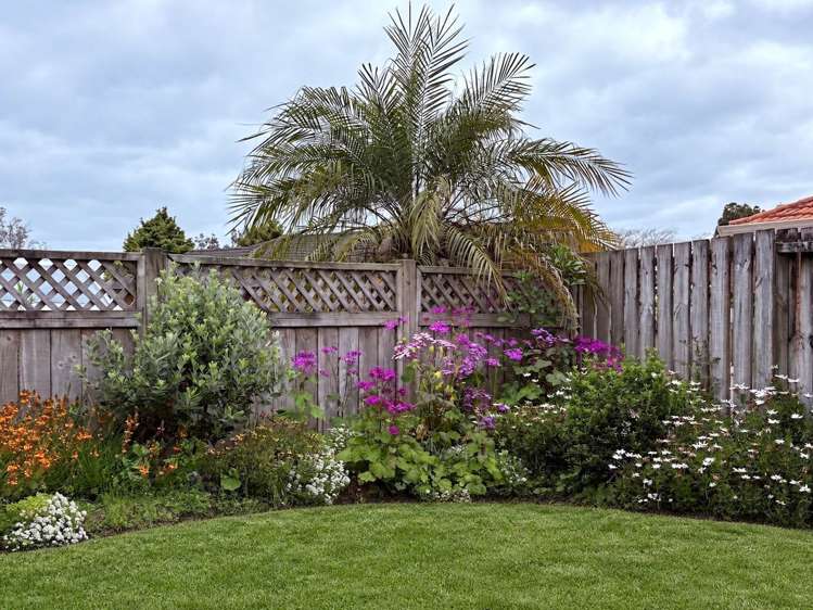 116 West Street Pukekohe_7