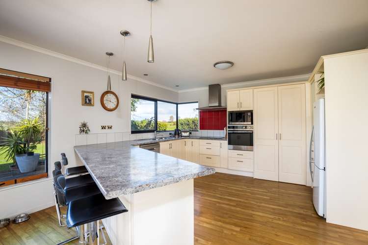395 Manutahi Road Lepperton_3