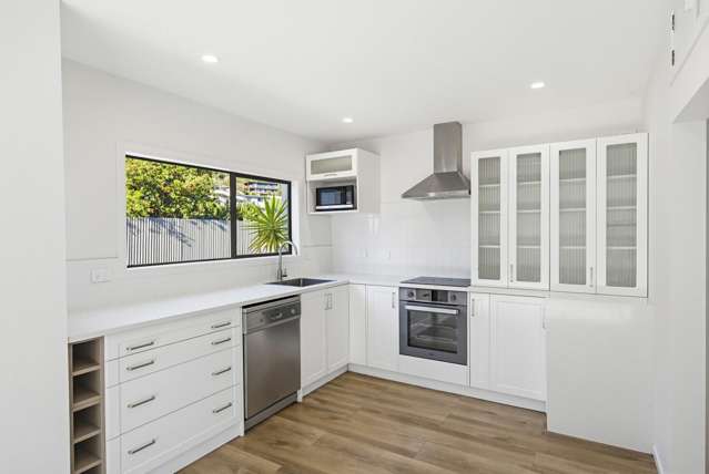 1 Matuhi Street Waikanae_1