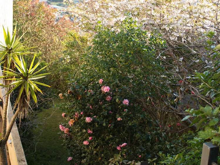 7 Inverell Way Seatoun_26