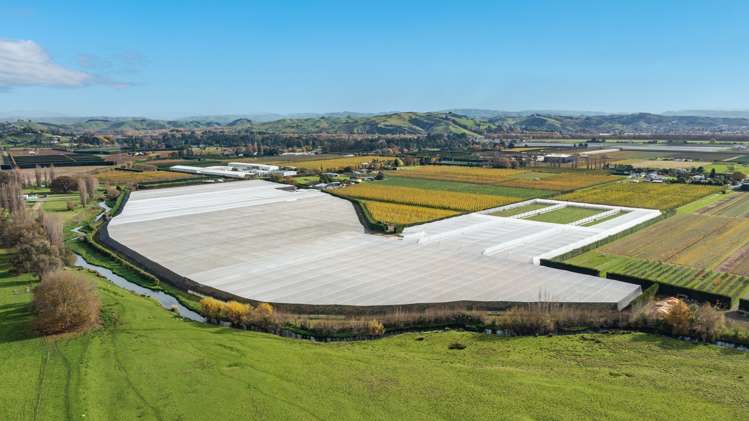 71 Franklin Road Central Hawkes Bay Coastal_0