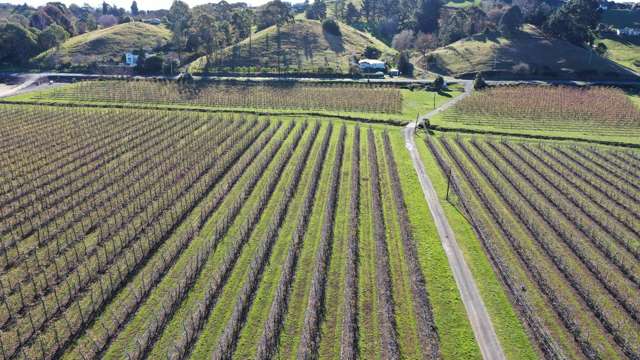 1313 Korokipo Road Waiohiki_4