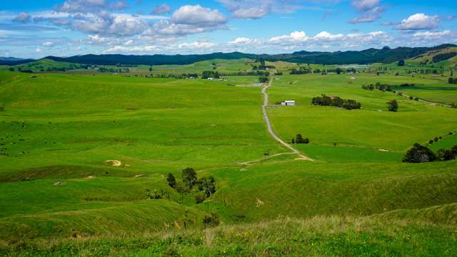 326 Dimmock Road Maramarua_4