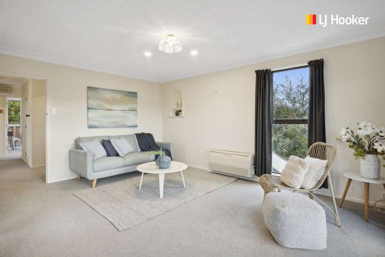 8 Meuse Lane Andersons Bay_5