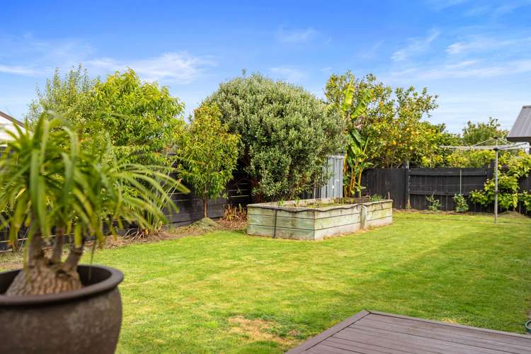 55 Kane Road Papamoa_12