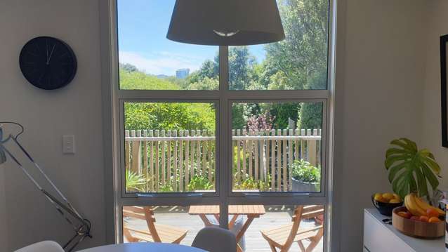 46E Thompson Street Mount Cook_3